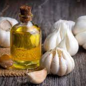 Garlic Oil Flavoured 