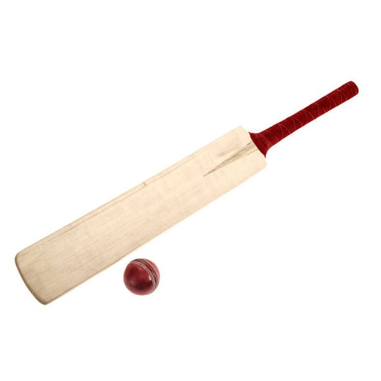 Light Weight Hardball Cricket Bat Sports And Entertainment Accessories For International Player Use From India 