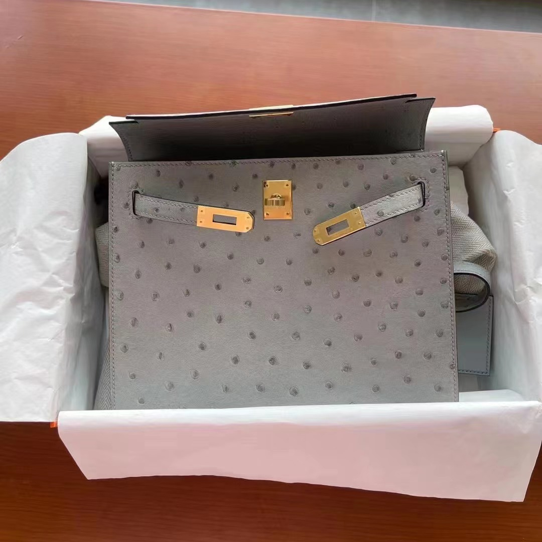 Fashion Bag Wholesale Women's Handbag Women's Luxury Handbag Women's Notebook Handbag Bk25 Ostrich Skin Handmade