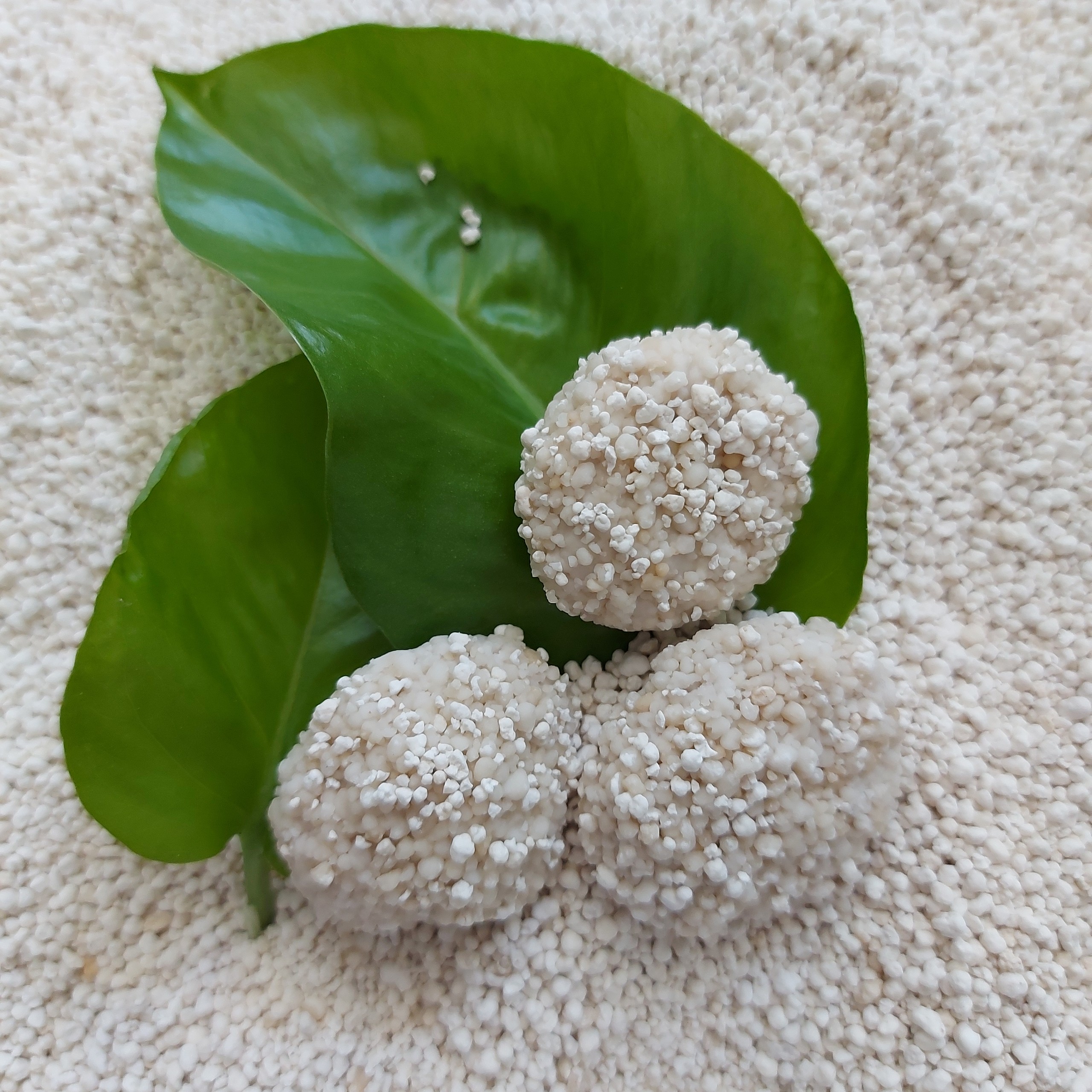 [exclusive] Super Clumping Cat Toilet Sand Made From Natural Tapioca Component Vietnam 